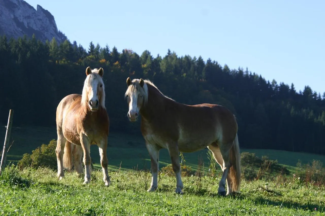 Villa Riederhof Inkl. Chiemgaukarte à Ruhpolding 0*,  Allemagne