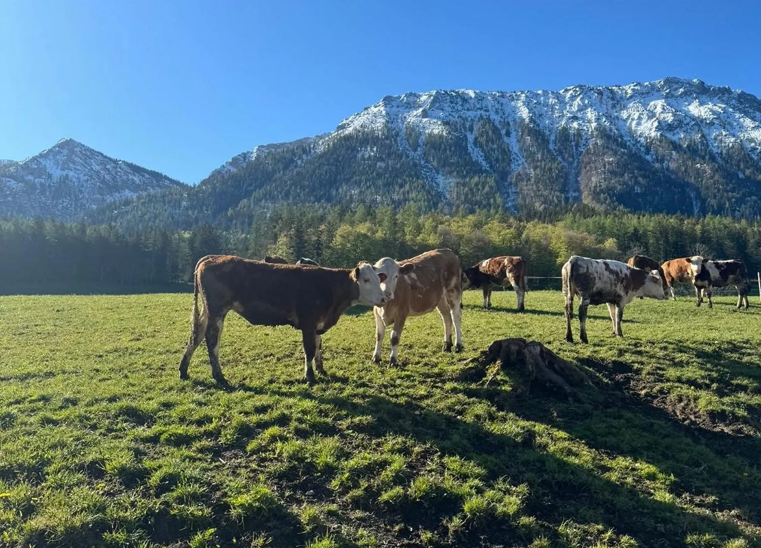 Villa Riederhof Inkl. Chiemgaukarte à Ruhpolding